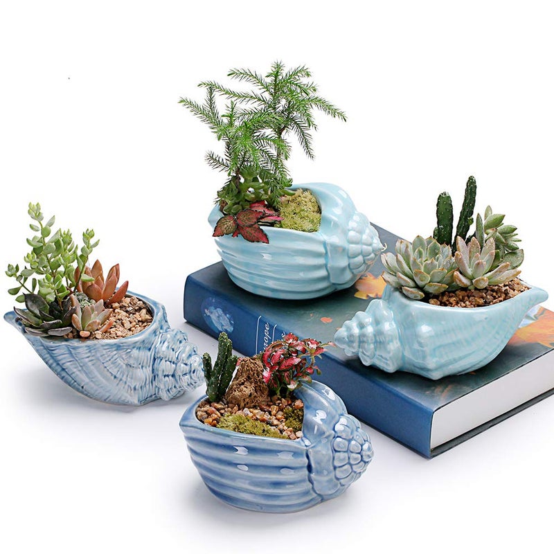 SE SUN-E Bonsai Pots 5.5 Inch Blue Conch Ocean Series Ceramic Base Serial Set Succulent Plant Pot Cactus Plant Pot Flower Pot Container Planter With Drainage Hole Gift Idea 4 In Set(Plants Not Included) - Image 4